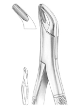 Fig. 8 upper and lower  third molars